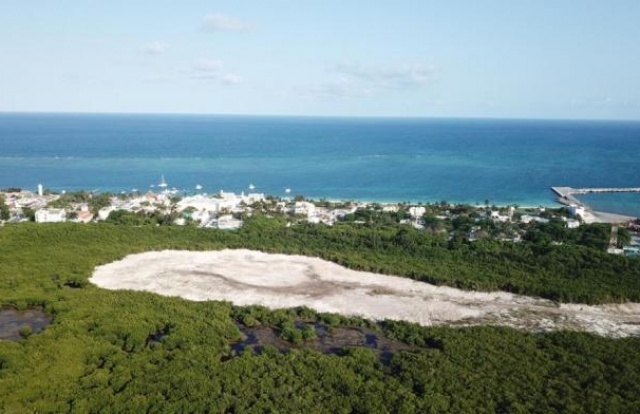 Piden ambientalistas a Semarnat detener ecocidio en Puerto Morelos ...